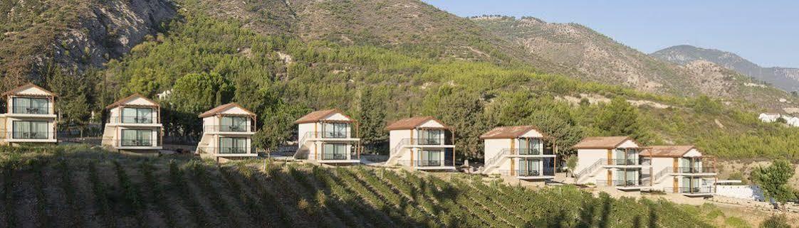 Gillham Vineyard Hotel Templos Exteriör bild