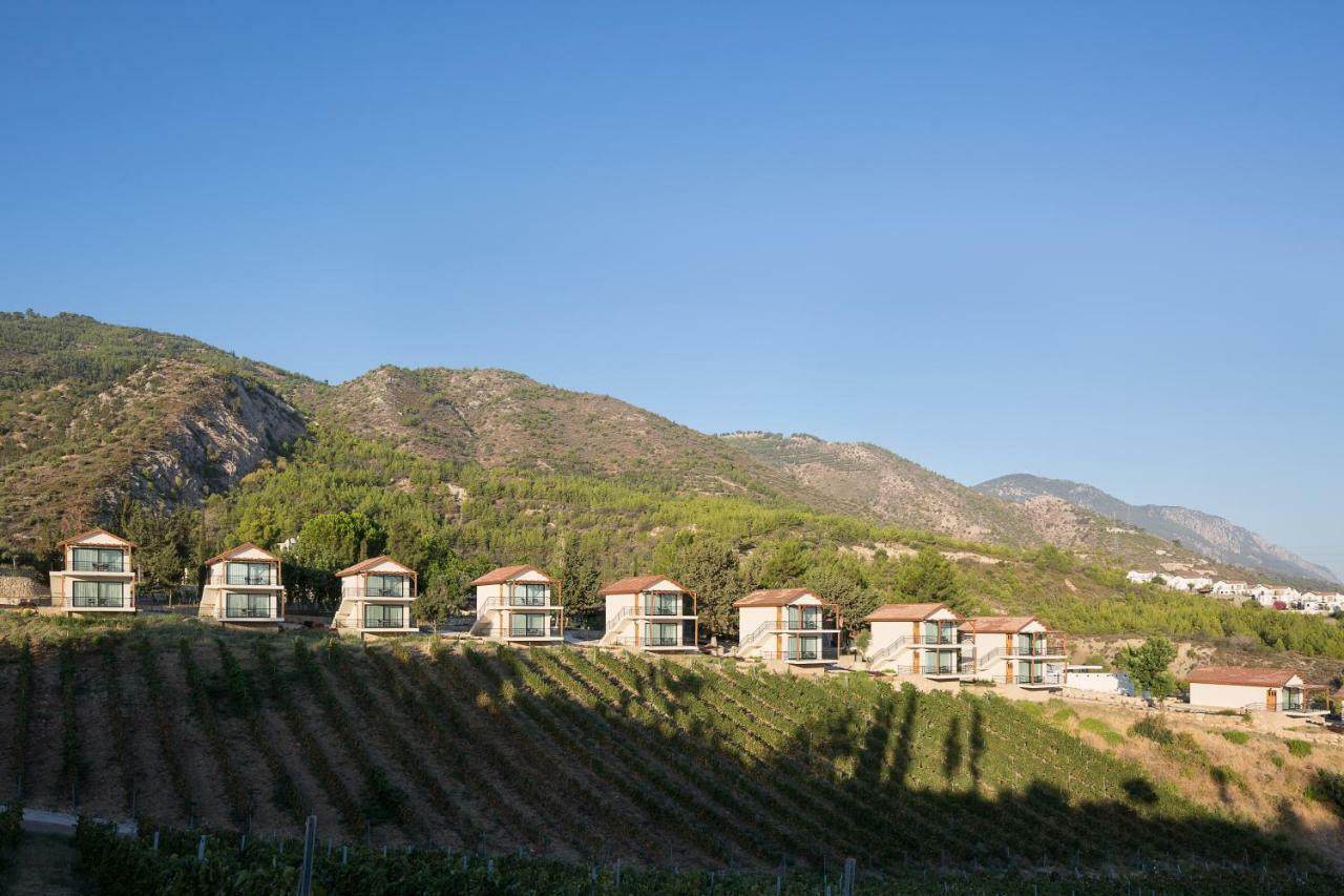 Gillham Vineyard Hotel Templos Exteriör bild